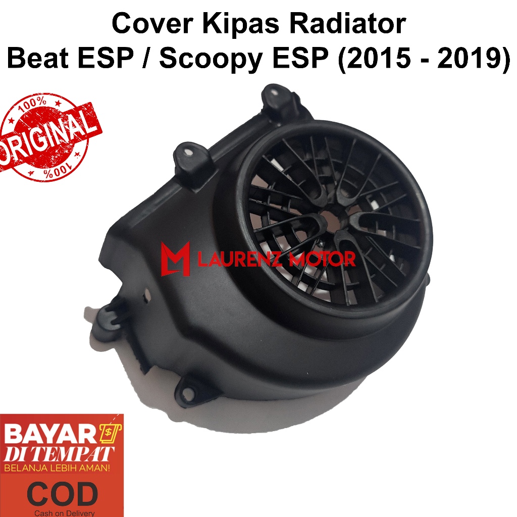 Radiator Cover ESP Scoopy ESPBEAT (2015 - 2019) | Shopee Philippines