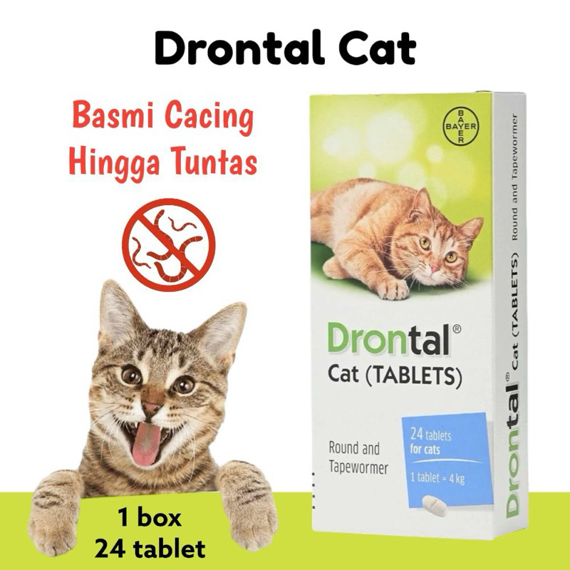 Drontal CAT 1pc CAT Deworming Medicine DRONTAL CAT Deworming Medicine