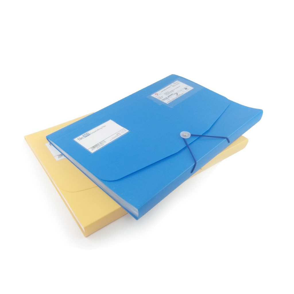 Daiichi - Expanding Filling Organizer Map Harmonica Map Divider 365 ...