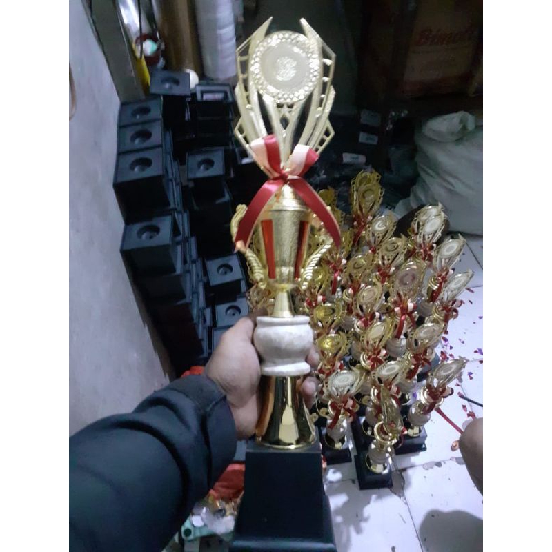 Trophy for preschool, kindergarten, elementary school, middle school ...