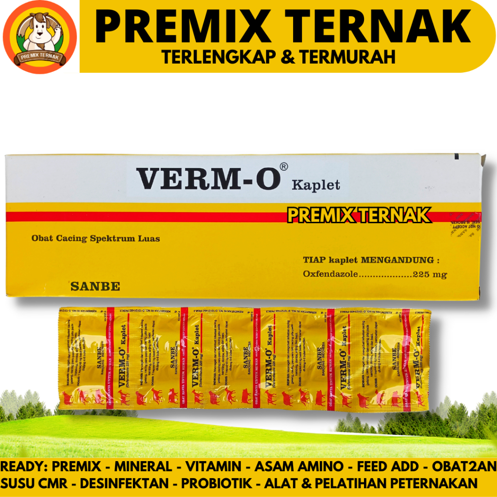 VERM O CAPLET 1 BOX (10 STRIPS @10 CAPLETS) - Deworming Medicine for ...