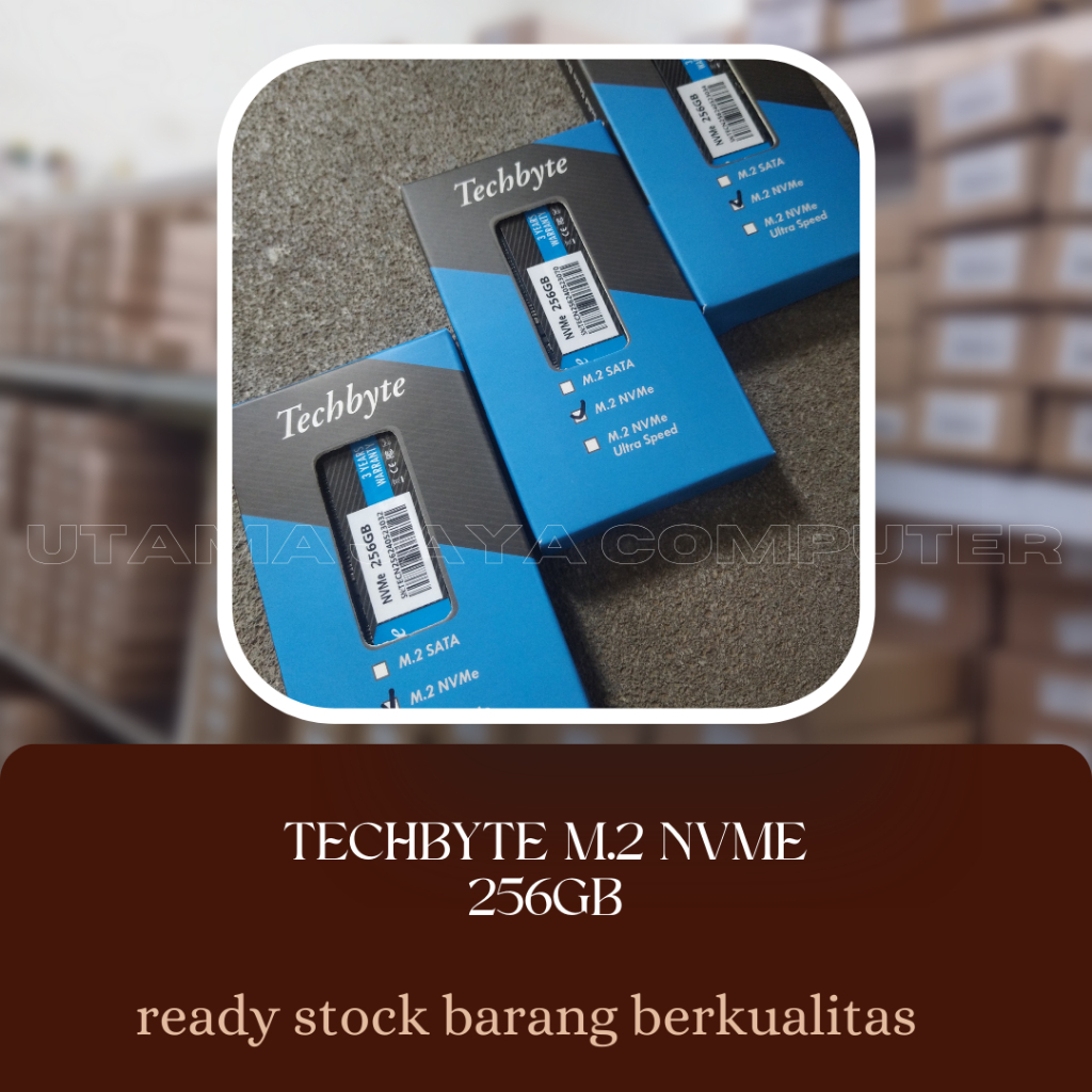 TECHBYTE 256GB NVME SSD | Shopee Philippines