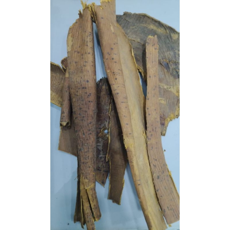 10 G 50 GR 100 GRAM HUANG BO BAI BAN AMUR CORK TREE CORTEX PHELLODENDRI ...