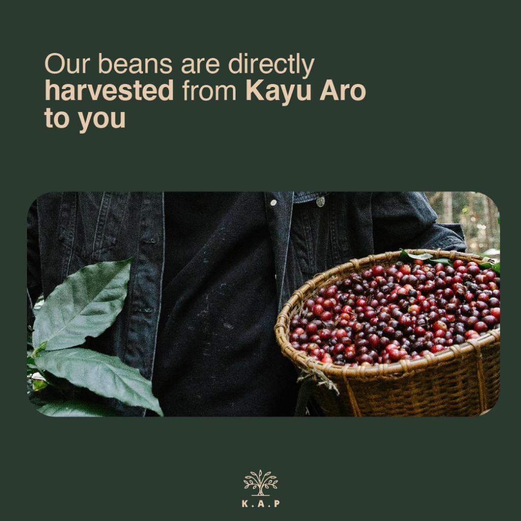 KAYU KAP - Full Washed Aro Wood Arabica Coffee 100g - Full Washed ...