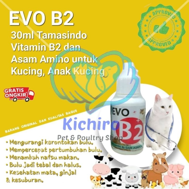Evo B2 Contents 30ml Tamasindo Vitamin B2 And Amino Acids For Cats