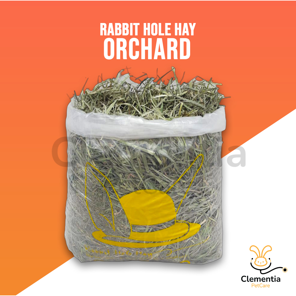 Rabbit HOLE Hay Orchard 1kg Hay Orchard Grass RABBIT Food Shopee