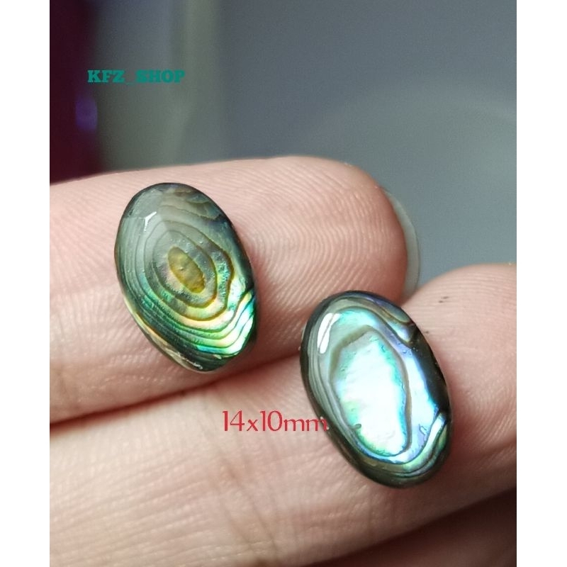 PUTIH HITAM Original Gems Of Black And White Shells Oval Flat Bottom ...