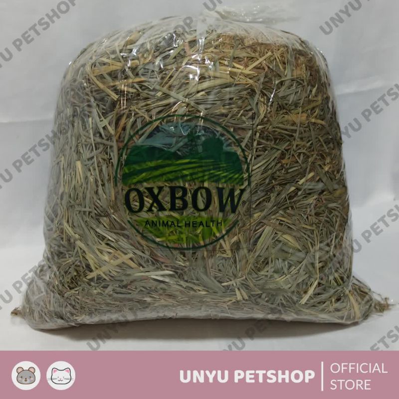 All Grass Hay Timothy KING OXBOW RABBIT HOLE RABBIT Food 250gr | Shopee ...