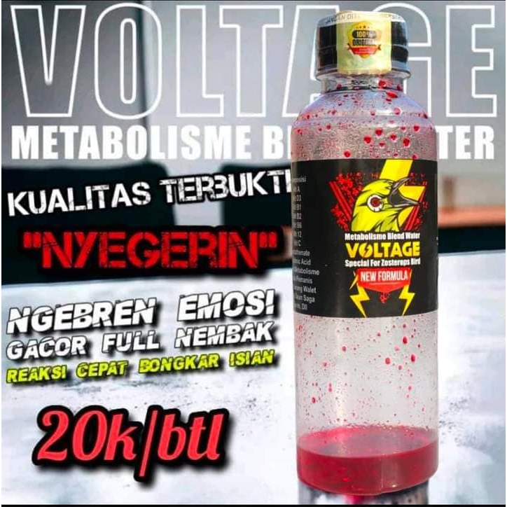 De VOLTAGE PLEVIA DORODOD EDAN Doping Pleci Sogon Metabolism | Shopee ...