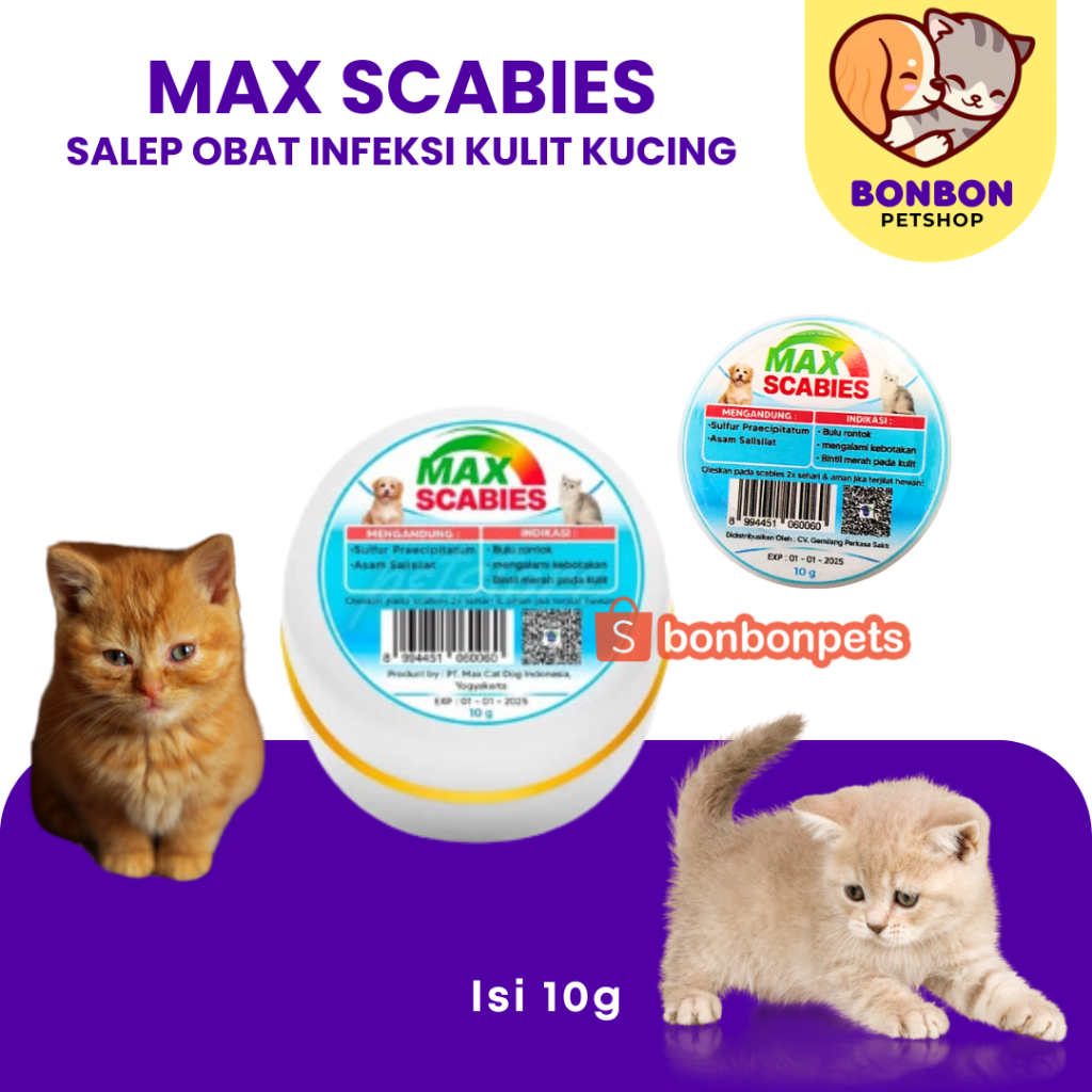 Max Scabies Ointment Cat Skin Infection Medicine Cat Fungus Max Scabies