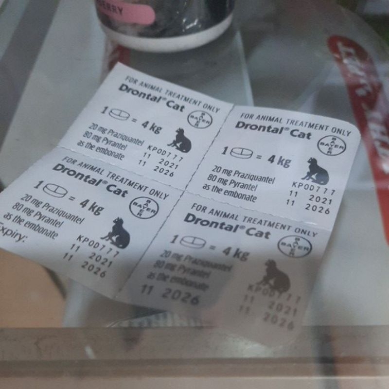 Drontal Cat Worm Medicine Shopee Philippines