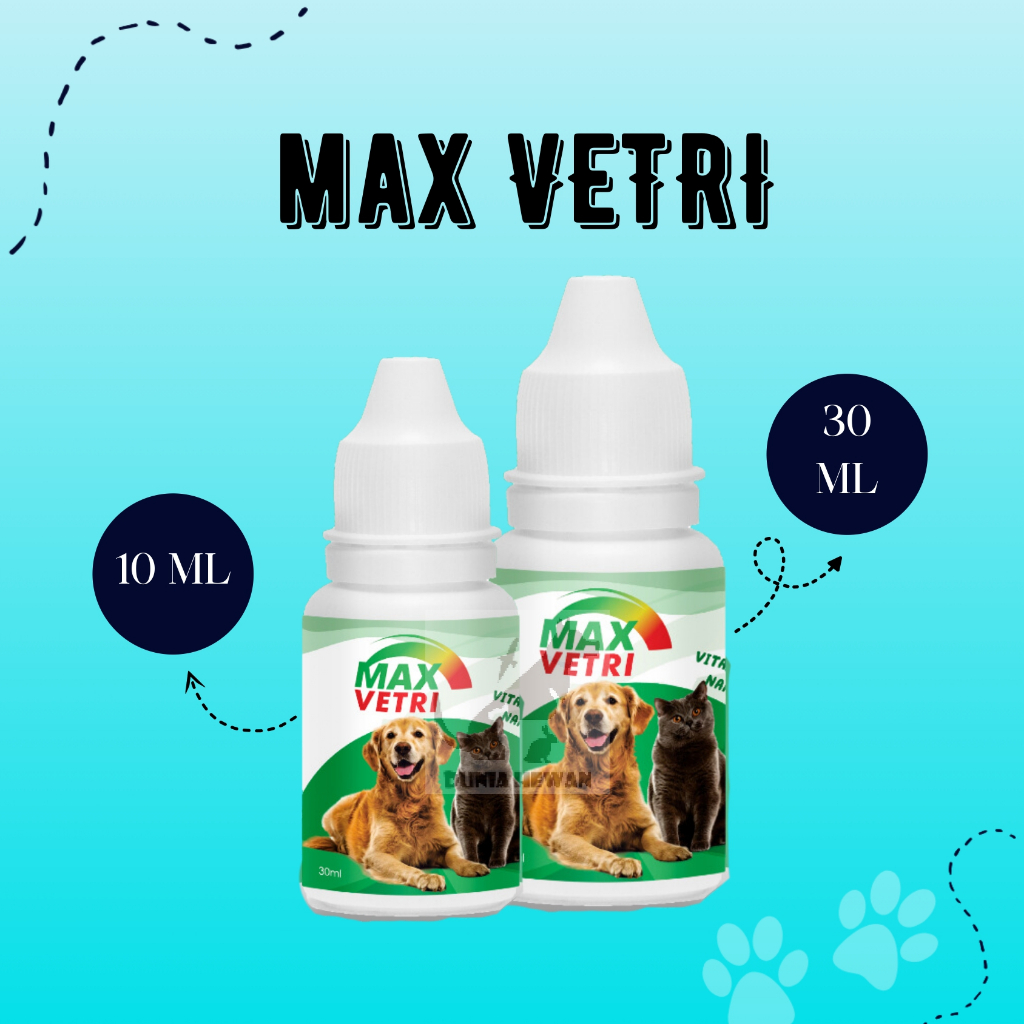 Vitamins And Supplements To Increase Cat And Dog Appetite Max Vetri