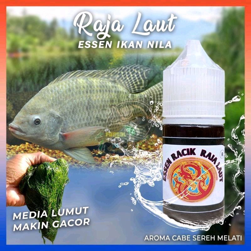 Essen Tilapia Fish Moss Media Oplosan Chili Jasmine Lemongrass Special ...