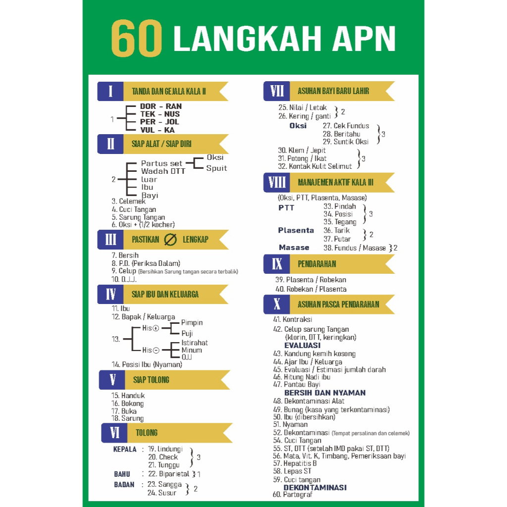 Apn 60-step Poster Sticker | Normal Care Poster Sticker | Maternity ...