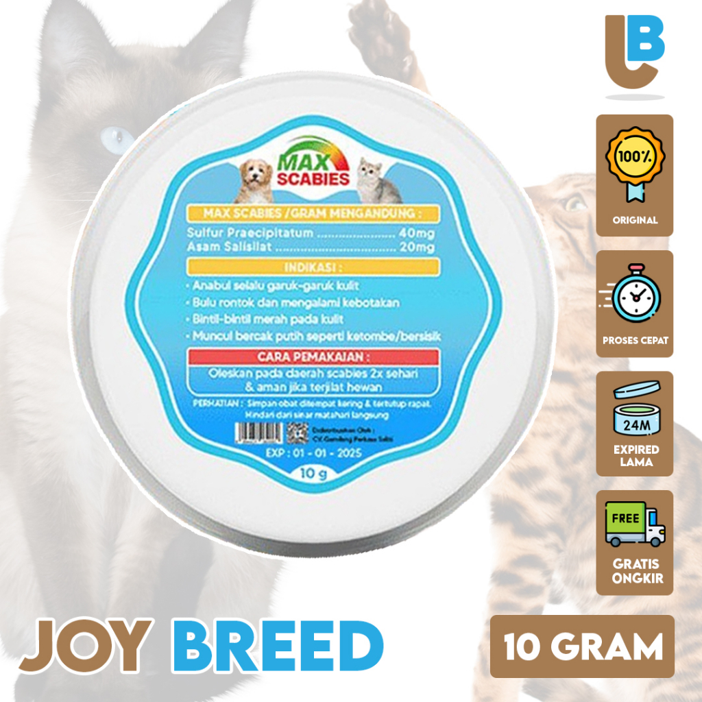 Cat SCABIES Medicine MAX SCABIES ANTI SCABIES Ointment And Skin