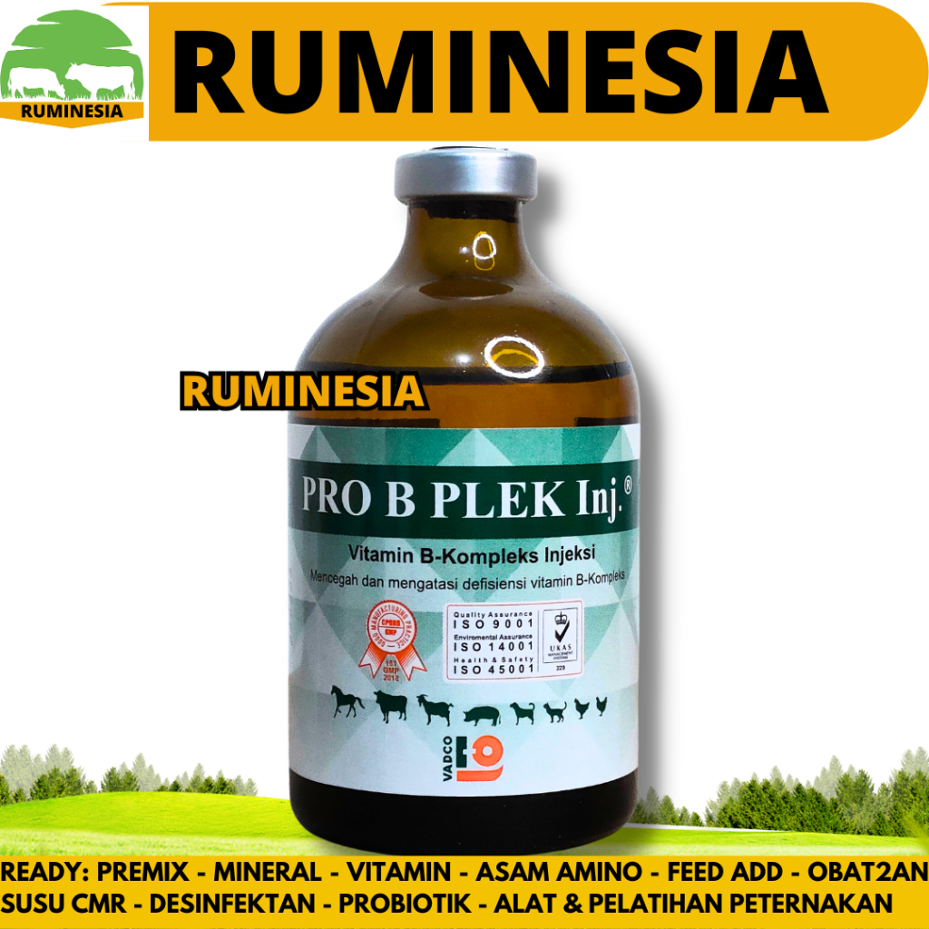 Pro B PLEK INJ 100ml Vitamin B Complex Animal Cow Goat Sheep B