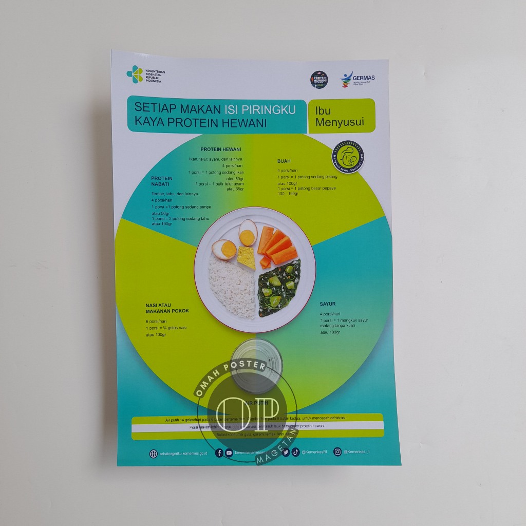 My Plate Filled Poster For Breastfeeding Mothers Nutrition Health