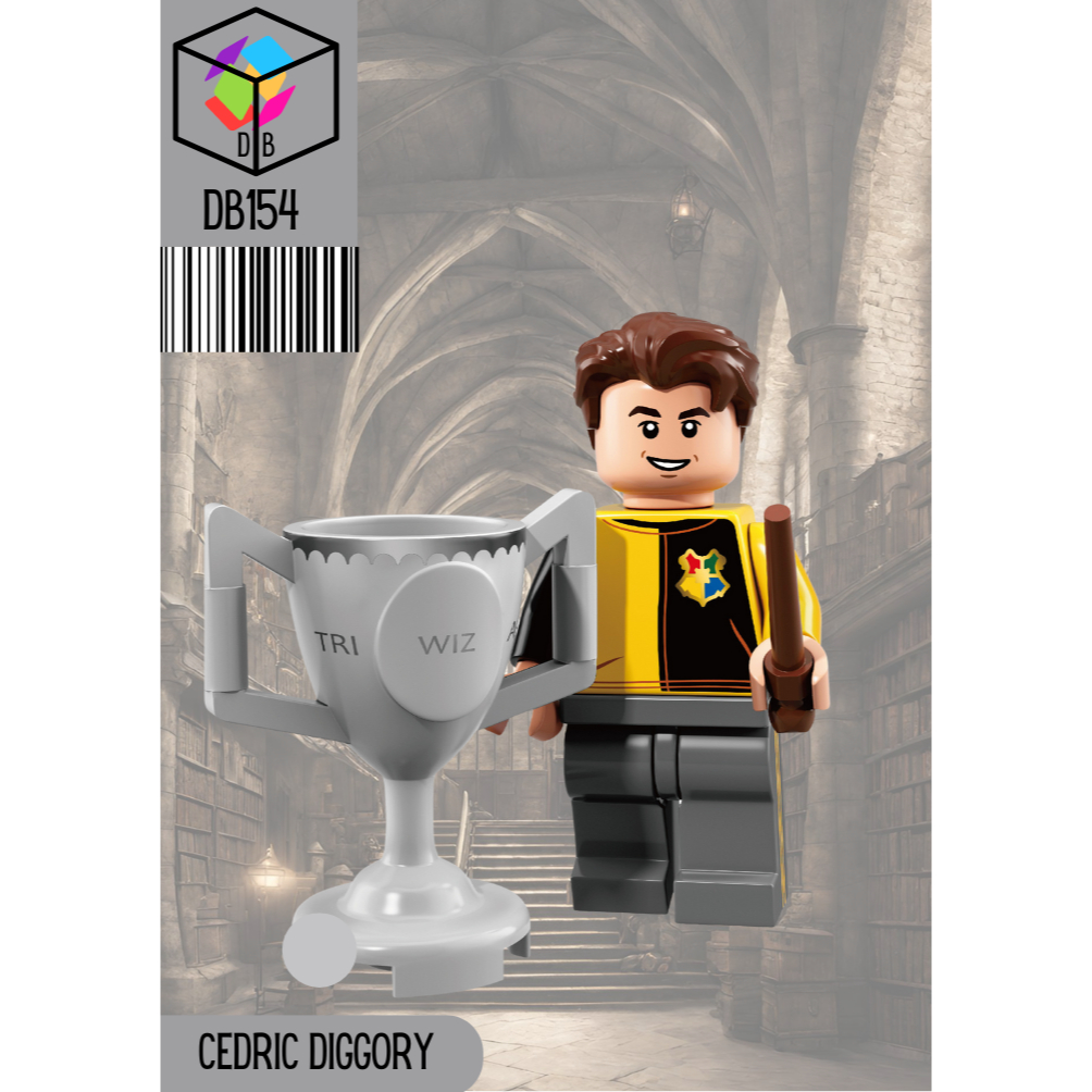 Harry Potter Cedric Diggory Minifigure Brick Collection Educational