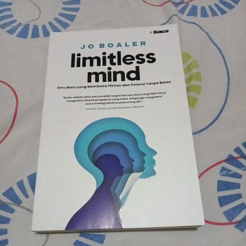 limitless mind book review