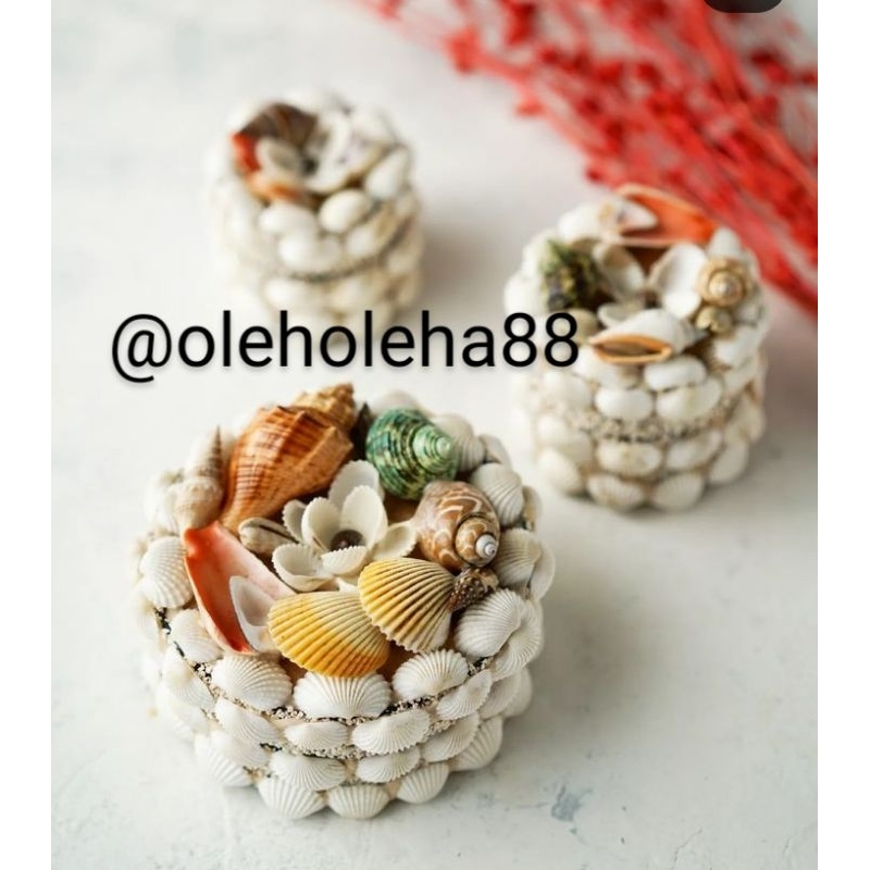 Jewelry BOX FROM MEDIUM ROUND SHELLS ORIGINAL HANDMADE BALI HIGH ...