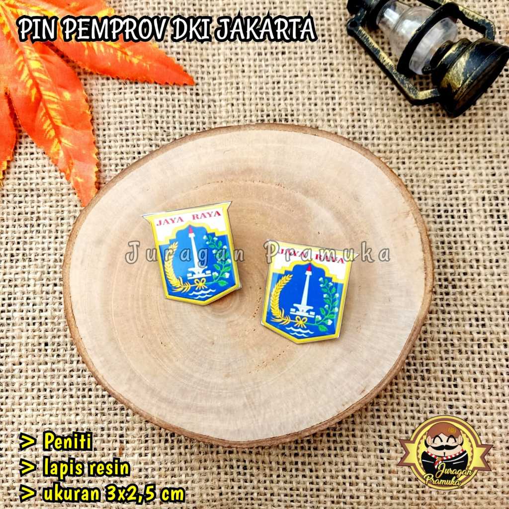 DKI Provincial Government Brooch Pin DKI Provincial Government logo Pin ...