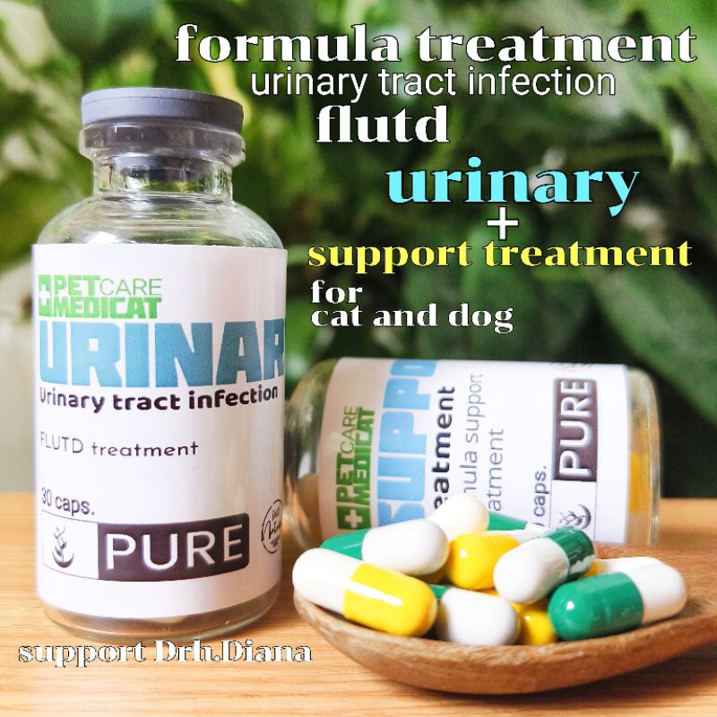 Cat Urine Medicine Cat Urine Medicine Cat FLUTD Medicine Cat Urine Pain