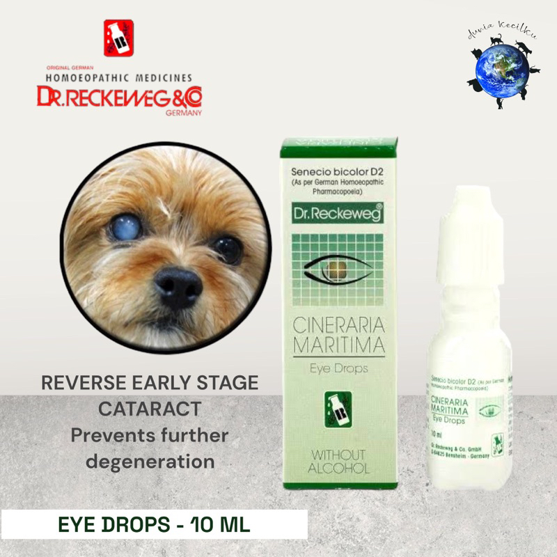 MATA Dr. Reckeweg Cineraria Maritama Eye Drops Cataract Eye Drops For
