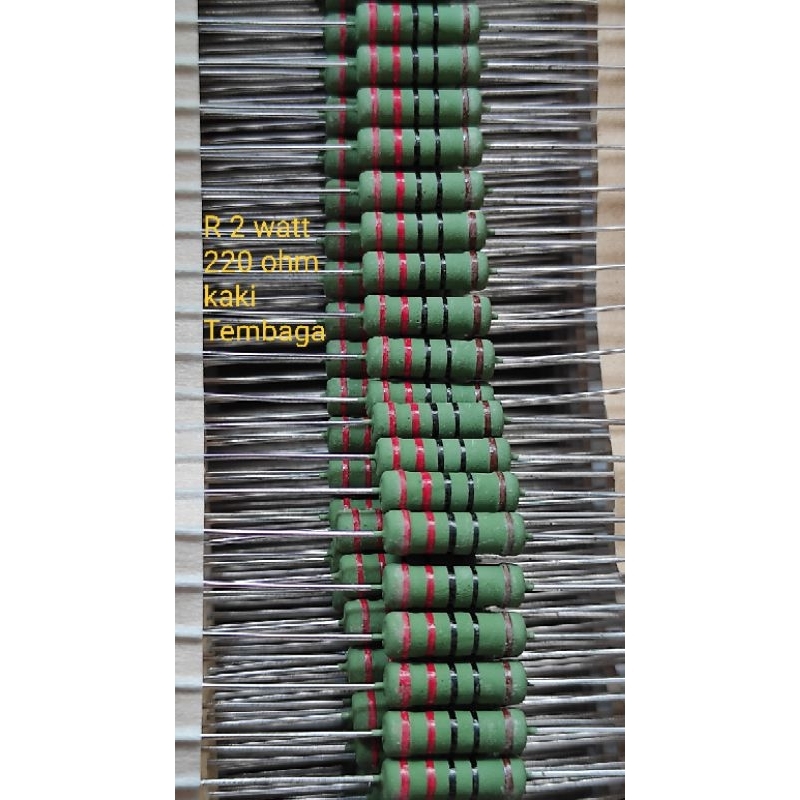 100 pcs resistor 2 watt 220R COPPER leg R 2W 220R ROLL | Shopee Philippines
