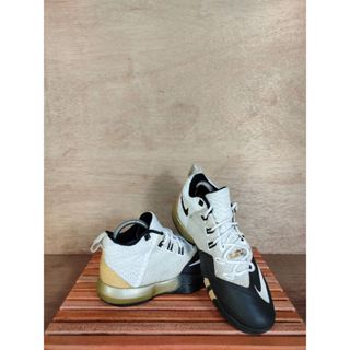 Nike lebron best sale ambassador 5