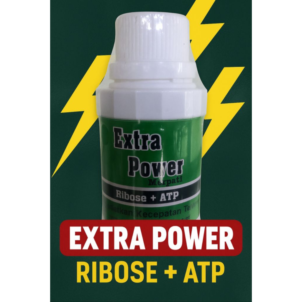 Extra Power Booster+ ATP | Shopee Philippines