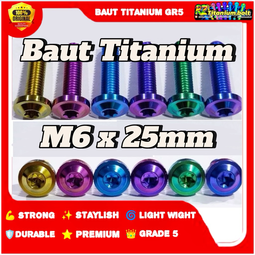 Titanium Bolt M6 X 25mm Thread 10 Length 2.5cm Big head Umbrala Grade 5 ...