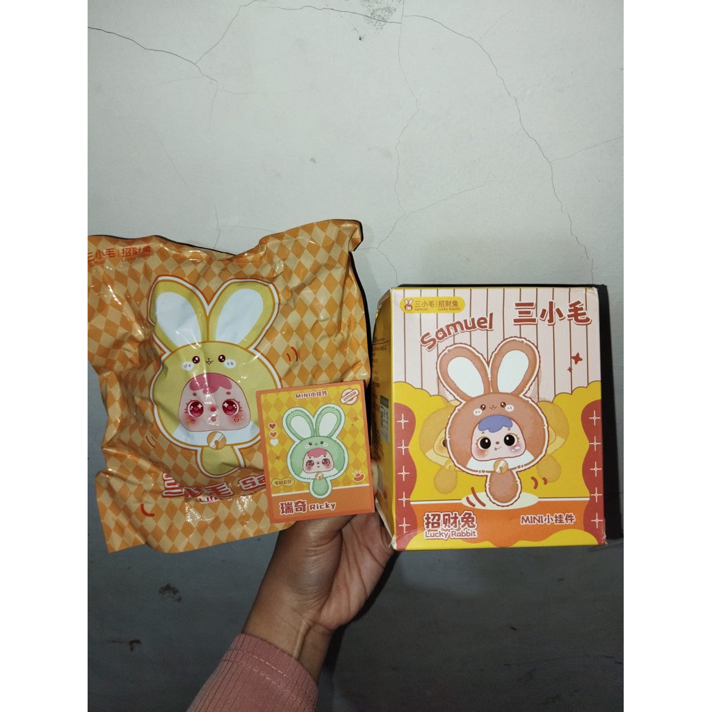 Blindbox: Mini Samuel Lucky Rabbit (Selected - still BC) | Shopee ...