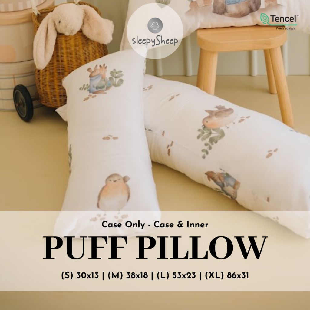 SLEEPYSHEEP ALEXA Peter Rabbit Collection Puff Hugging Pillow Tencel ...