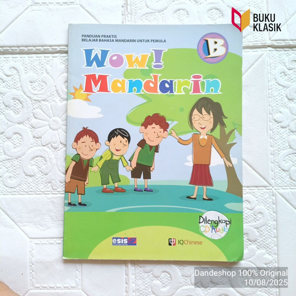 Wow! Mandarin B - a practical guide to learn Mandarin for beginners ...