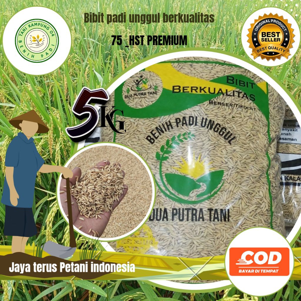 EARLY 75 SUPER PREMIUM RICE SEEDS 5KG PACKAGING | Shopee Philippines