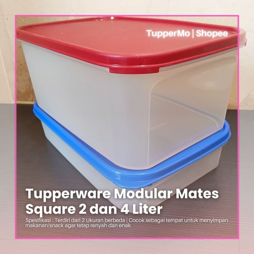 Modular Mates Square 2 and 4.3 Liter Tupperware Original | Shopee ...