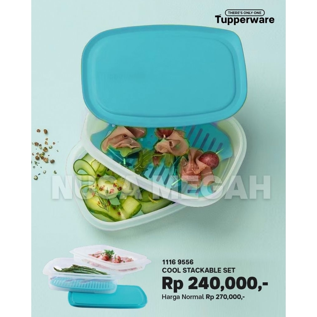 COOL STACKABLE TUPPERWARE | Shopee Philippines