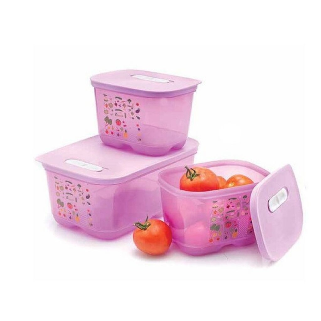 Storage VentSmart Tupperware Refrigerator Vegetable Fruit Food ...