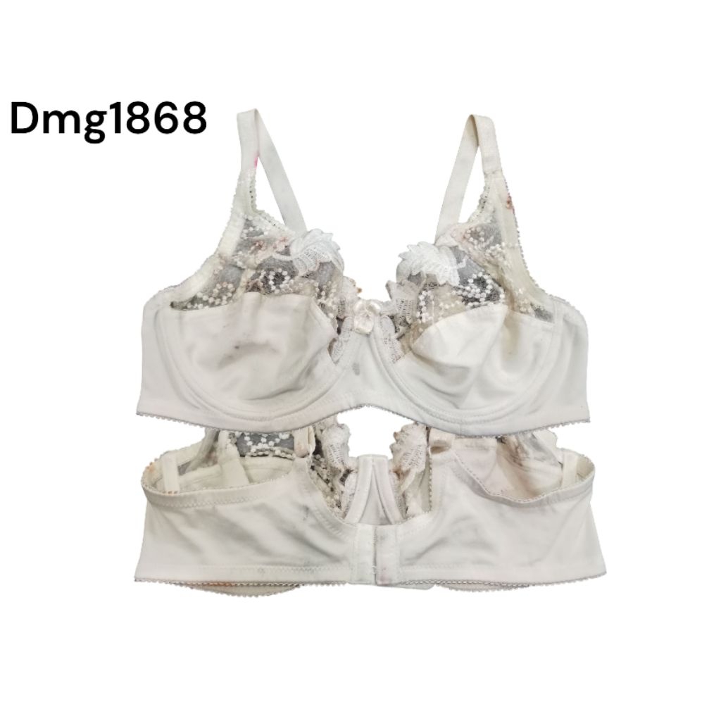 W Dmg1868 branded bra by Sorbet bra without foam underwire Rijeck bra ...