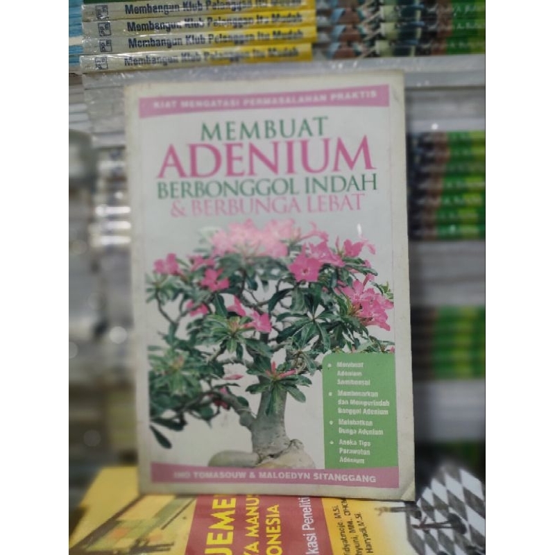 Making Adenium Bumps beautiful & dense flowering | Shopee Philippines