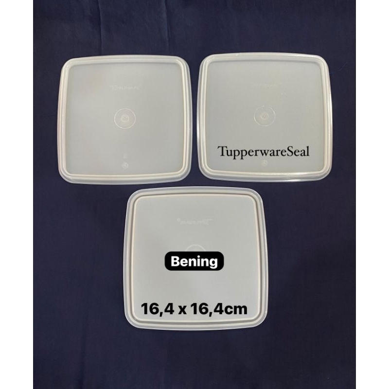 Carry Chain Cover all Original Tupperware sets | Shopee Philippines
