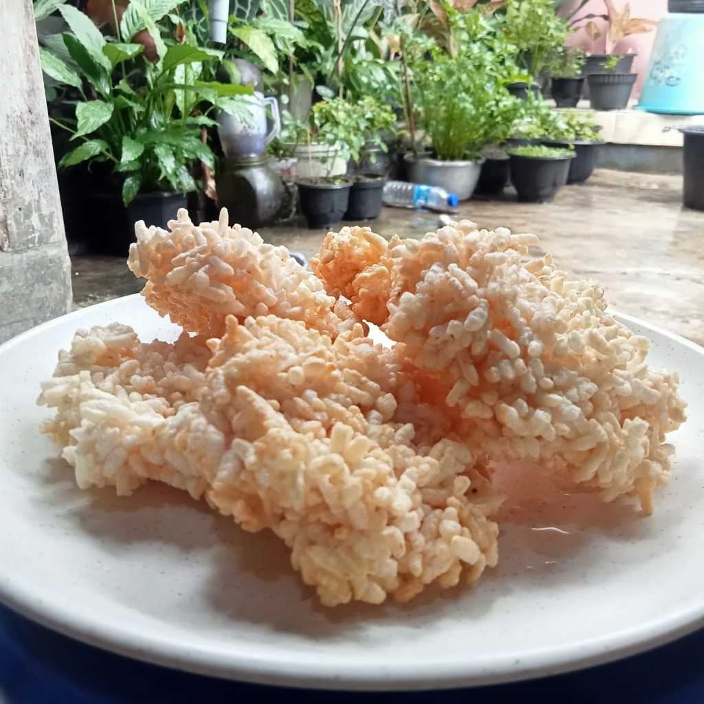 Raw RANGINANG TERASI RANGINANG CONTENTS 25-30 SEEDS (500 GRAM) | Shopee ...
