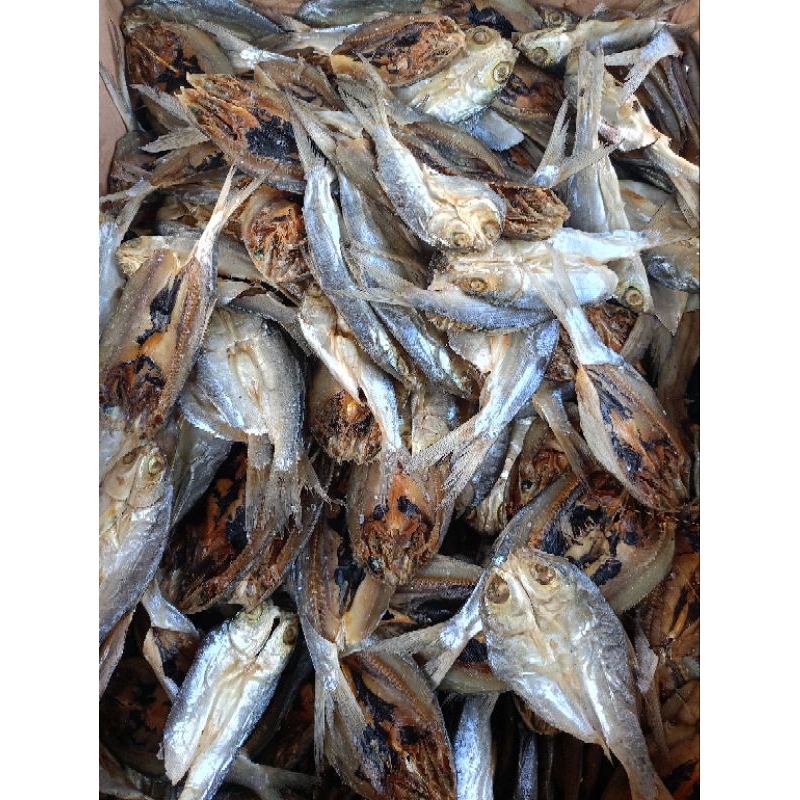 Split Salted Milkfish | Shopee Philippines