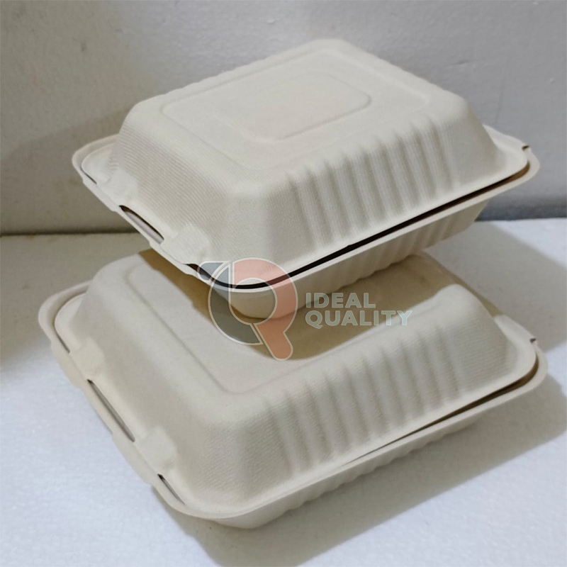 Bagasse Lunch Box, Food Box 8inch NATURAL Sugarcane Fiber ECO