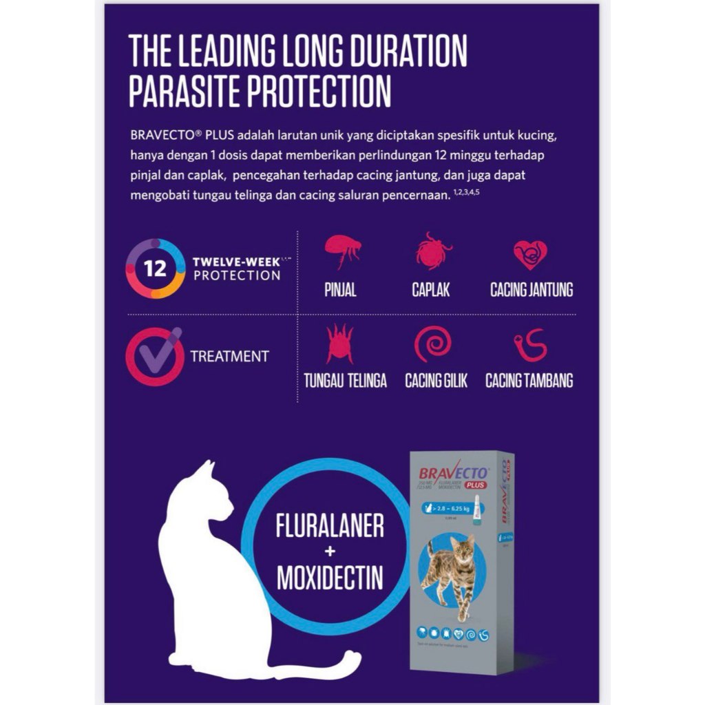 Flea Medicine Lasts 3 Months/Flea Medicine PLUS Paint/Price For 1 TUBE