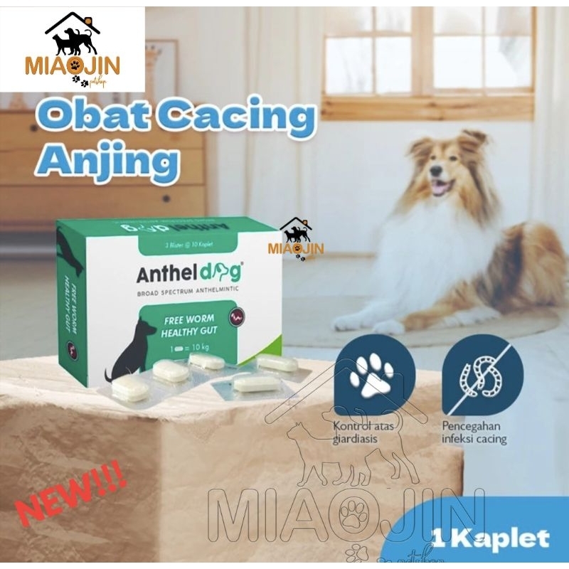 Anthel Dog 1 Tablet - Dog Worm Medicine by Kable | Shopee Philippines