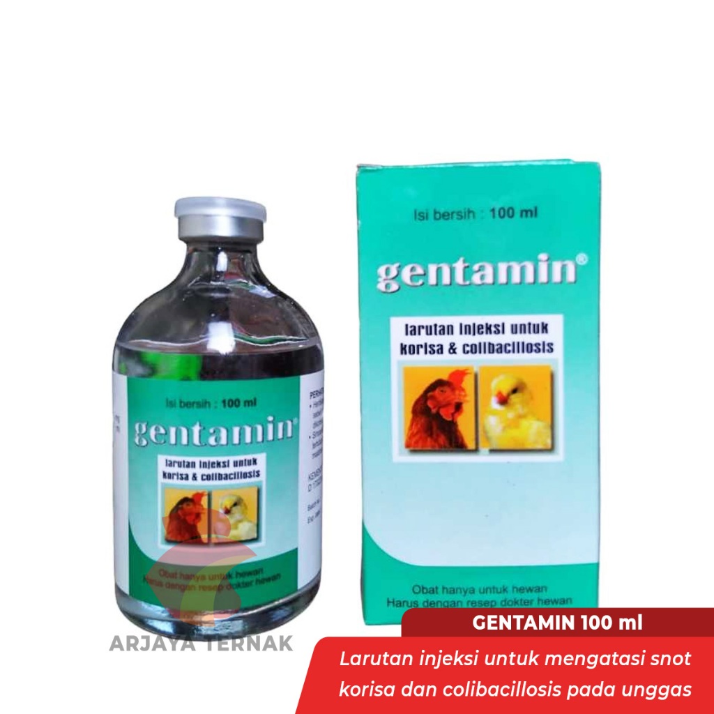 Gentamin 100ml Medicine for injection for diarrhea, corisa ...
