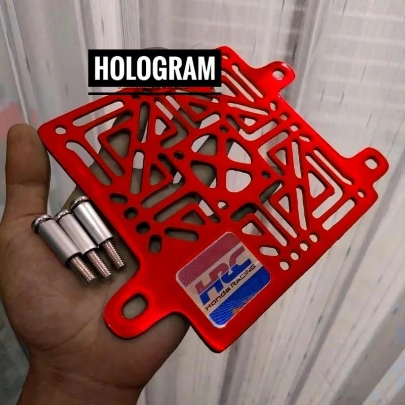 Radiator Cover Radiator Protector HRC Hologram Vario LED 125 150 Old ...