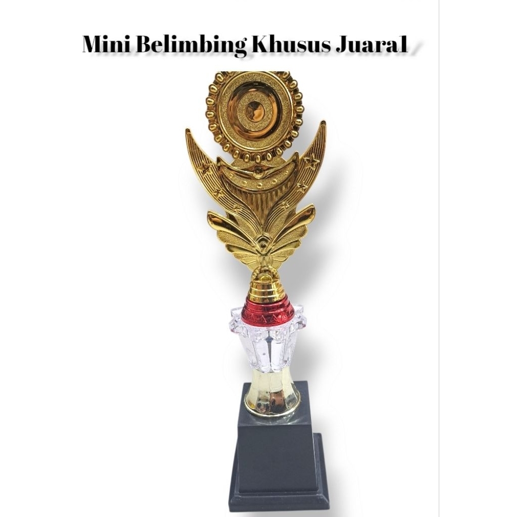 Mini Trophy / Mini Trophy Acrylic Model Starfruit Special for Winners 1 ...