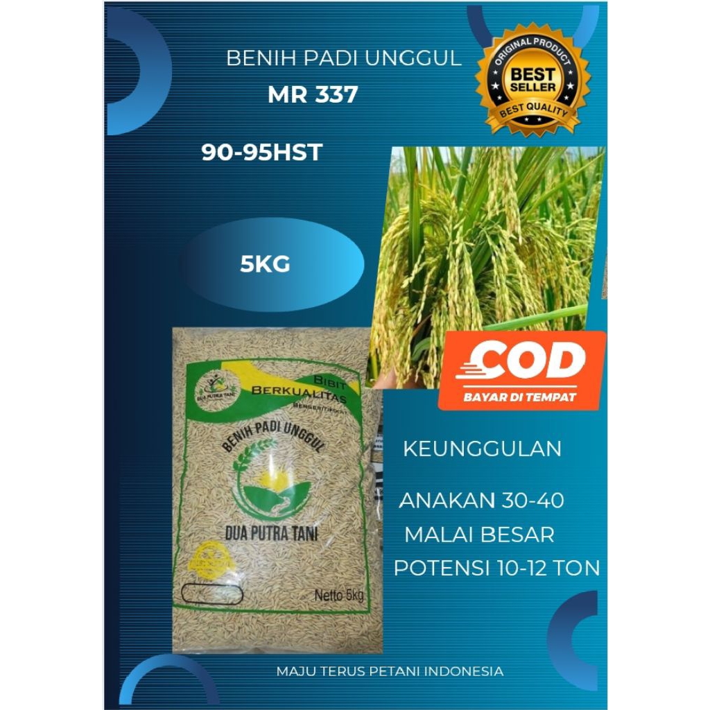 MR 377 85-90hst RICE SEEDS, 5kg packaging, best quality | Shopee ...